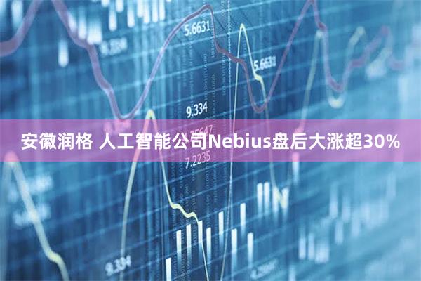 安徽润格 人工智能公司Nebius盘后大涨超30%
