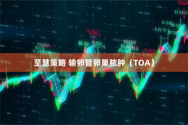 至慧策略 输卵管卵巢脓肿（TOA）
