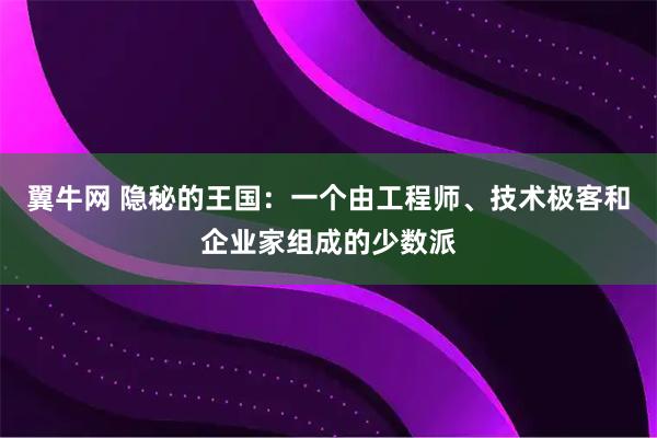 翼牛网 隐秘的王国：一个由工程师、技术极客和企业家组成的少数派