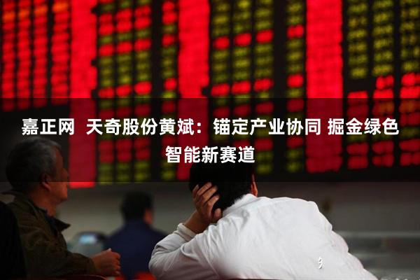 嘉正网  天奇股份黄斌：锚定产业协同 掘金绿色智能新赛道