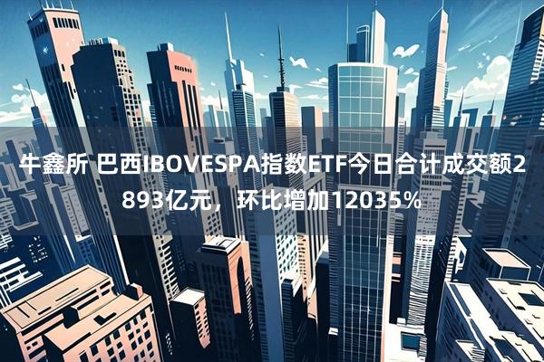 牛鑫所 巴西IBOVESPA指数ETF今日合计成交额2893亿元，环比增加12035%